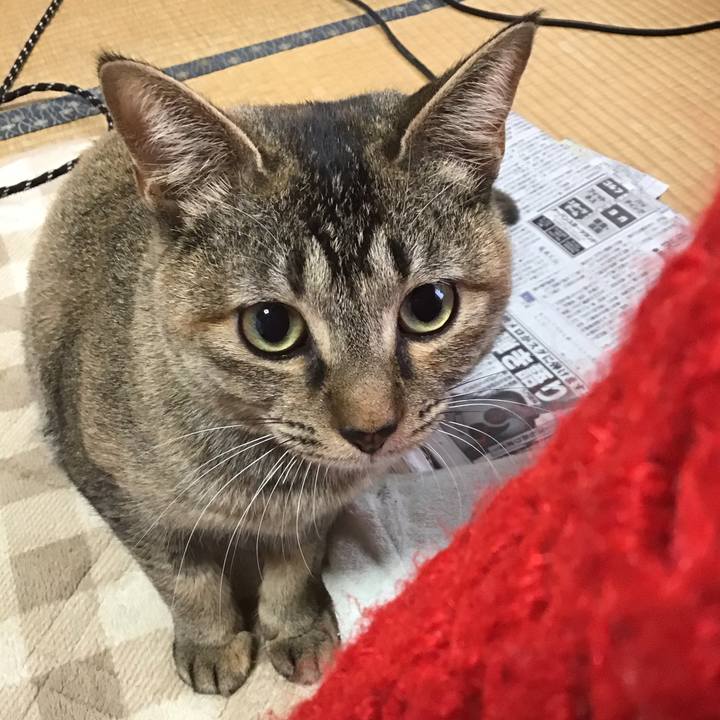 C953b07b 4e94 40f7 a923 91c835fee1b9 1579654915212