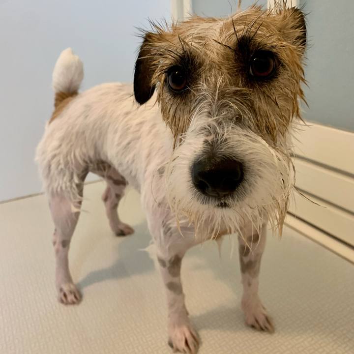 C953b7dd 9ee7 4ad5 b9b1 06442bce0a70 1657414349728