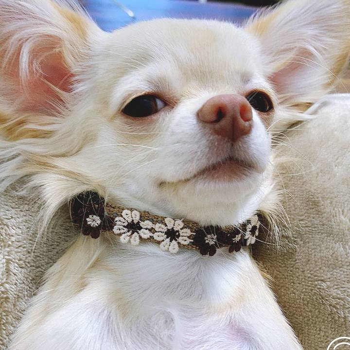 C953cd91 a35c 40ab a332 1ffdd8f9bd72 1604301928204