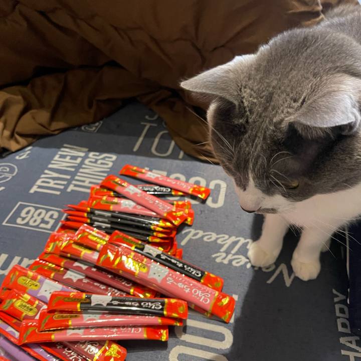 C953e4db 9dfc 4d86 98ca d31bec029229 1703576044123