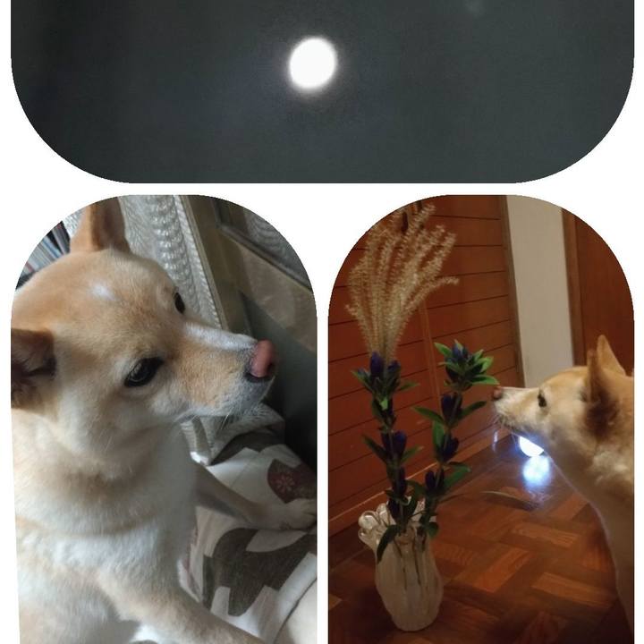 C953f173 81e9 48f2 83f5 f79748249403 1601555731065