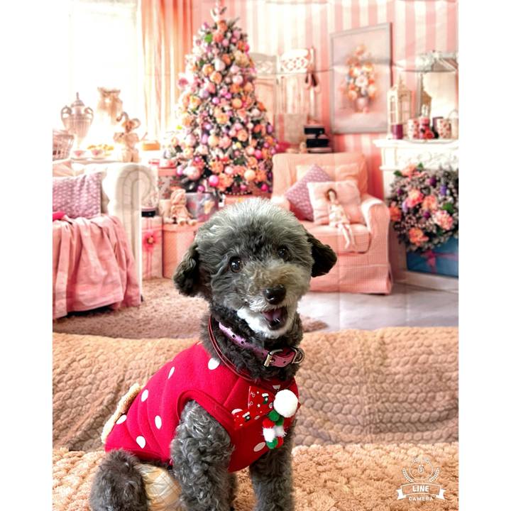 C9540aa3 cd60 4aed 9e6c dd75ae8d3075 1733179675092