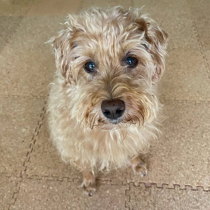 C954a157 4d7b 4abb a591 f3c3c8e1b910 1693346982088