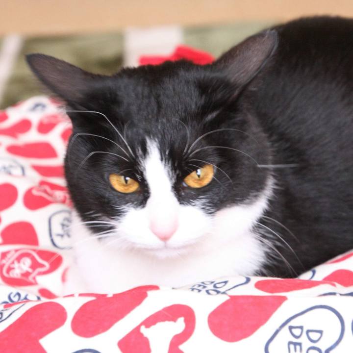 C954a428 9b7b 43d0 b69f 5ed4d13f2ccc 1552721640689