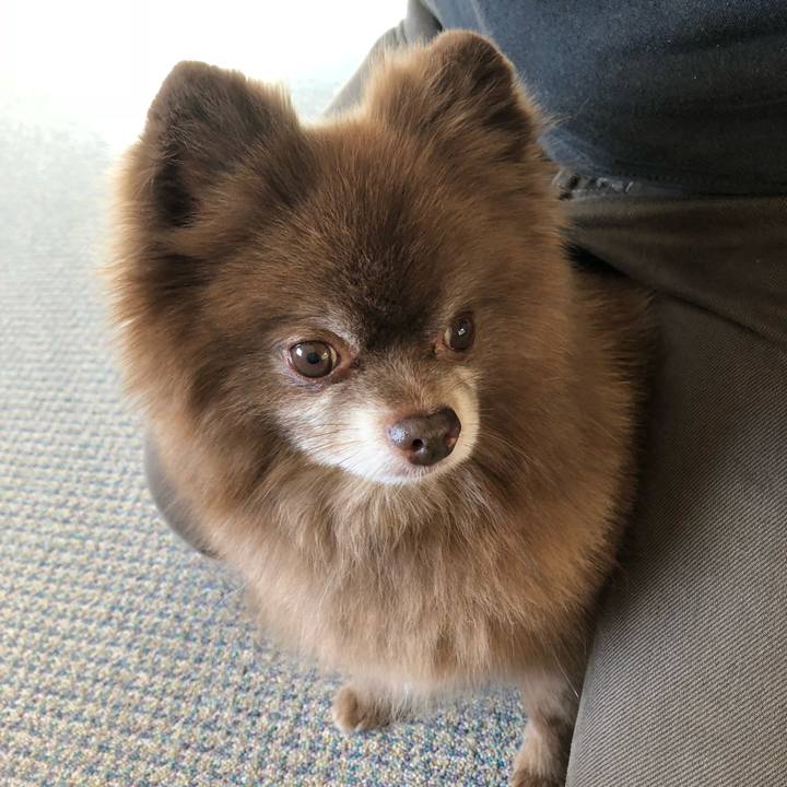 C954b2c6 3634 4ff9 9184 28f78a5fea16 1543794657259