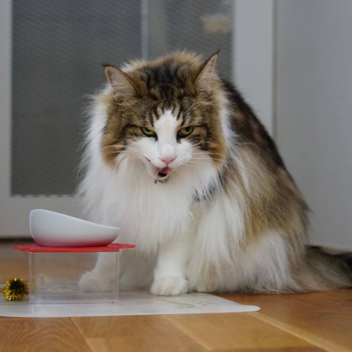 C954fc6d 0dec 4f5c a492 a54ccf2b5269 1657252397466