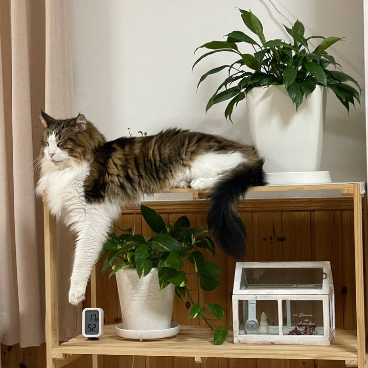 C9550316 4cac 4522 ba22 f4dfc458795f 1699211819397