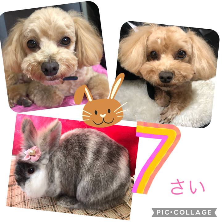 C9550740 35a4 41bb 846f 448b316c4cd3 1686258746021