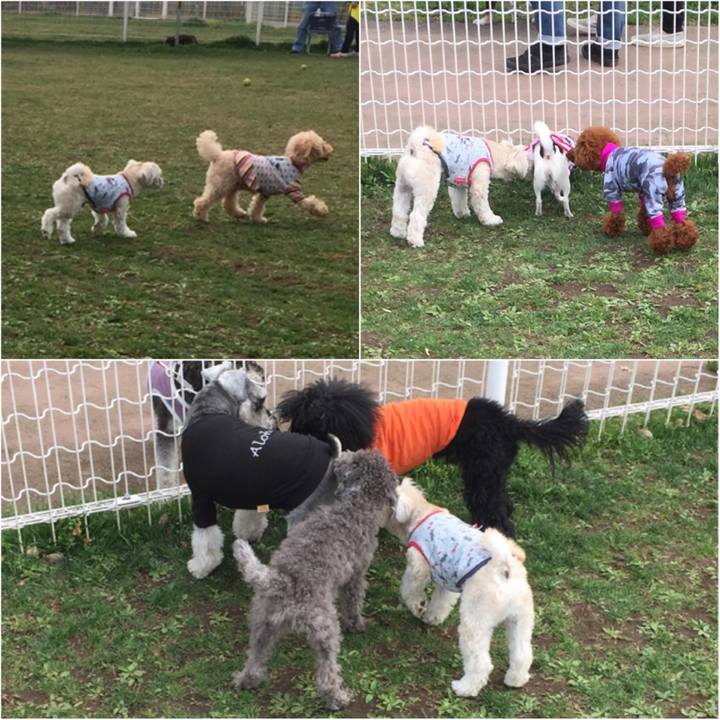 C9552859 399d 4739 ab75 cf5151a551f4 1521358649450