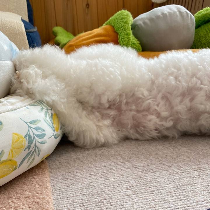 C9553c23 c646 48c3 a5bc ab5c54a28611 1632875983111