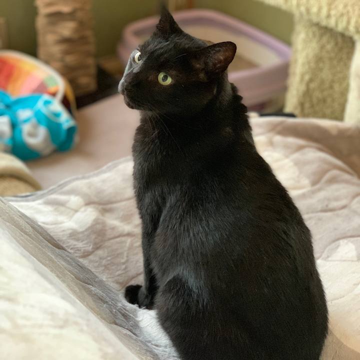 C95564c3 38bc 43bc 84c8 9f020b641913 1574126250075