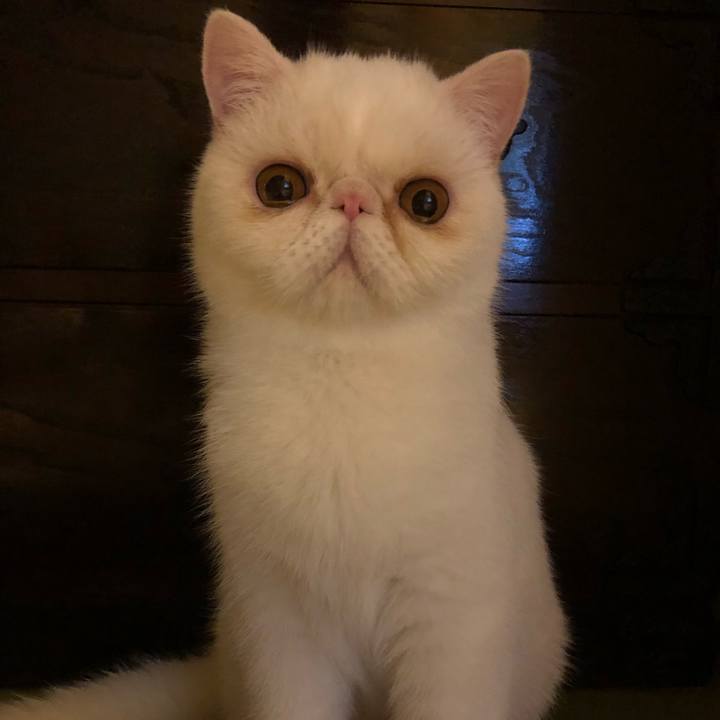 C9558b8e b943 403c 82a1 2c2c8a8ade60 1564221062630