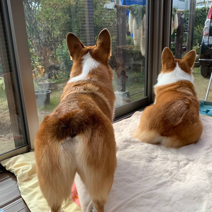 C9559c15 47c2 4d63 bfba 6c68ea7aba67 1575435328861