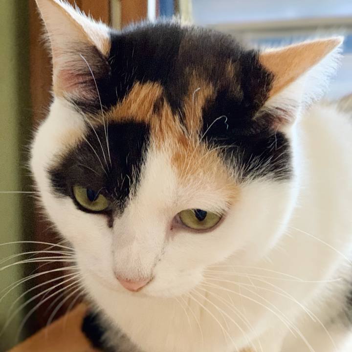 C955b09b df94 4d24 bd26 098d99510697 1543022550226