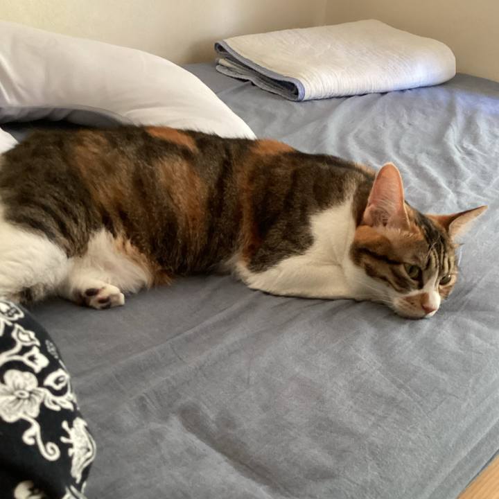 C955f561 e544 40bb 8188 3df6856a1dc5 1690669467531