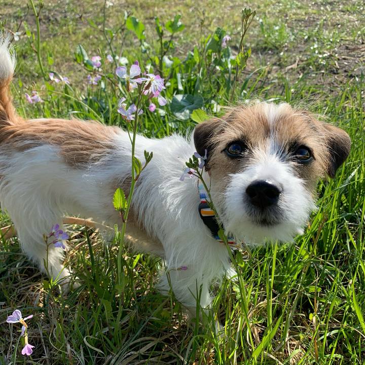 C95620ec f45d 40af a52c 54d79efd9c7c 1773744433652