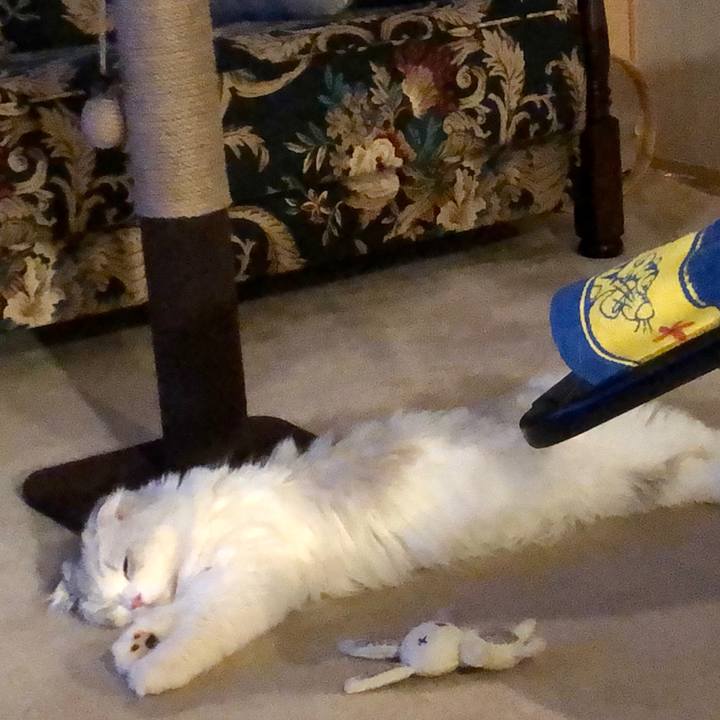 C95626ef 6e91 4f07 91b4 e2ec7ca6a1fa 1617187053104