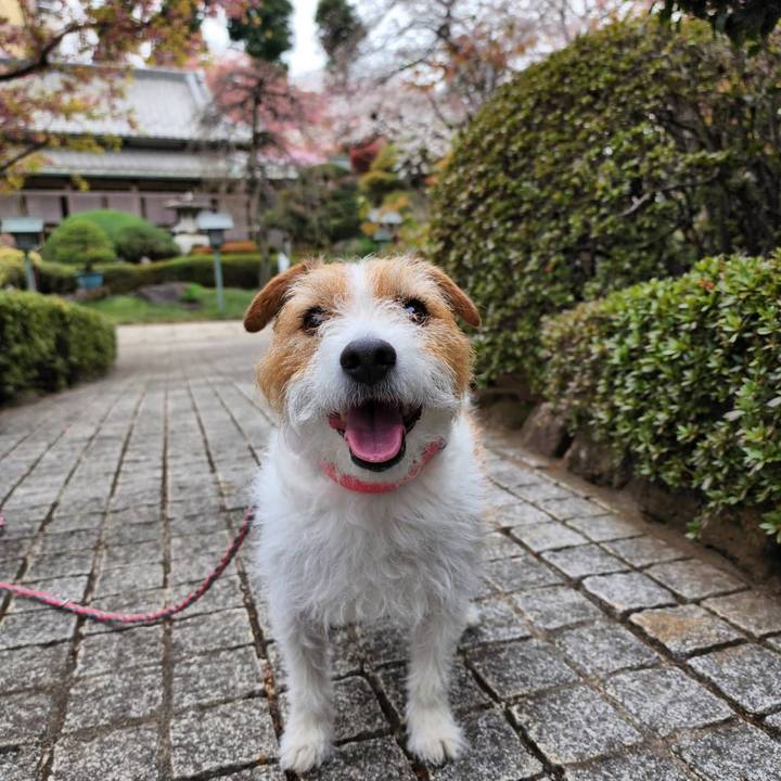 C95678fa 3664 439b 8f8e 6a35a88f6fa1 1679382140333