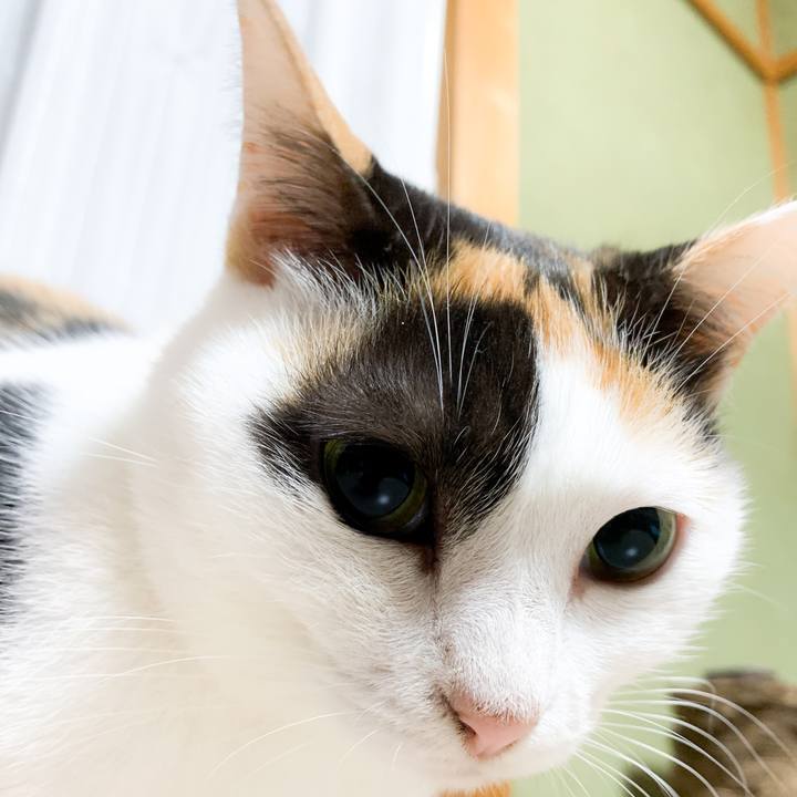 C9569ce2 64e0 436b 8575 4e7aeef0644a 1572657931437