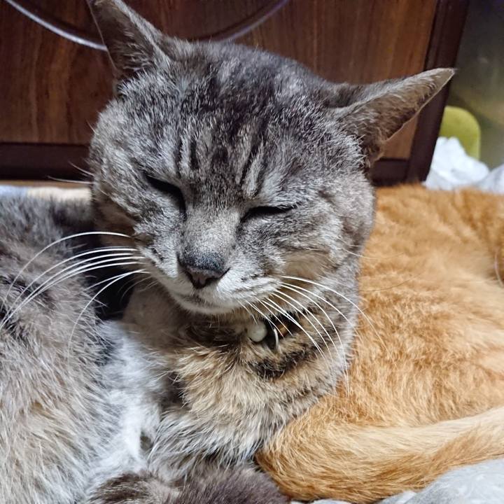 C956a78f 5054 41b4 b122 34abf18a56b0 1590580775153