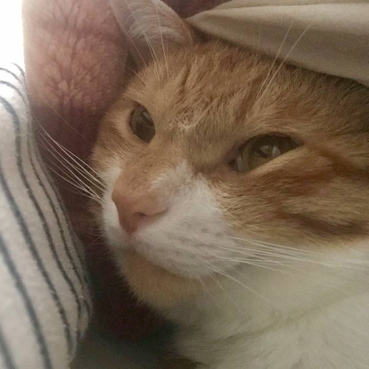 C956b0f6 8de8 441a 8c1d bc6cc193fe67 1554859808791