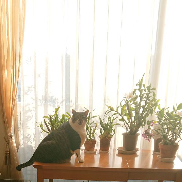 C956e09b 7cc6 4595 b943 e6076c3c2775 1579564557672