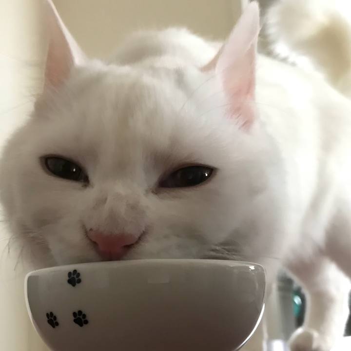 C9570236 33ca 44f0 93fb 19944469ea39 1516450926477