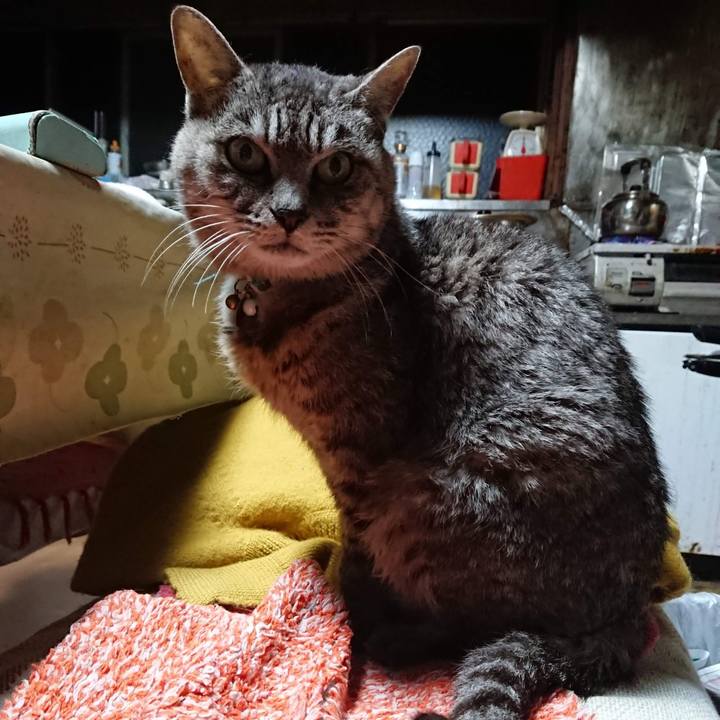 C9570624 d40c 405f ad03 d93d86c48f2d 1604867201398