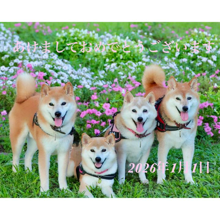 C957415a a4e4 46cf bb6f d1ec4f500cf3 1767455593667