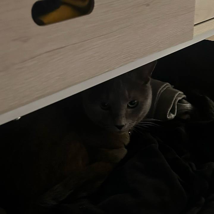 C95754f7 5200 4fcd be70 65cc04374b3b 1743120791236