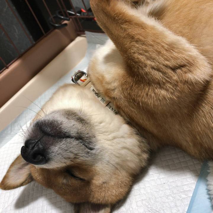 C957583c 5ef8 4355 a4ea a60b341c9515 1552124863225