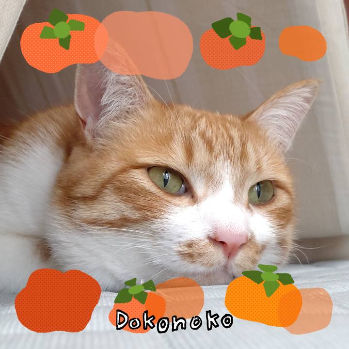 C957793e 4eec 49e8 ae77 bcc5951c7d5d 1761222581063