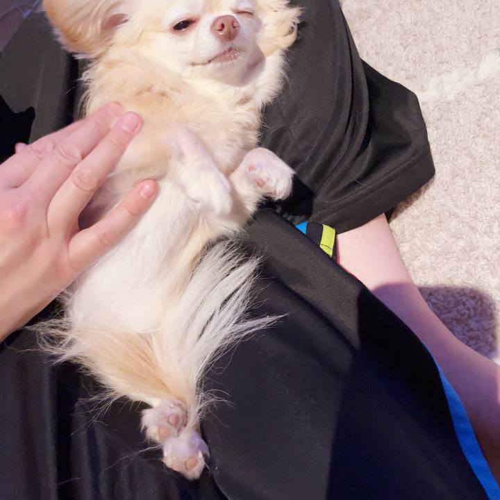 C957c27f 4c6c 4d94 8372 3e9f548975e5 1747572799352