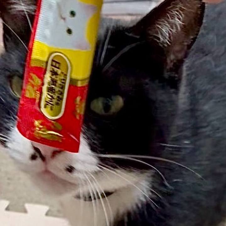 C957c78f 47b7 4a71 9f1b 302852a98dc2 1752369760771