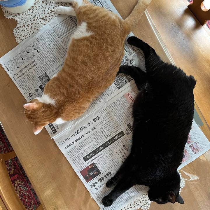 C957cad2 d662 4367 8d37 bd2b2b9b0629 1686611335505