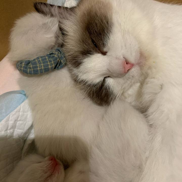 C957d1e6 5977 491c af99 7cfa0c41d598 1684012263500