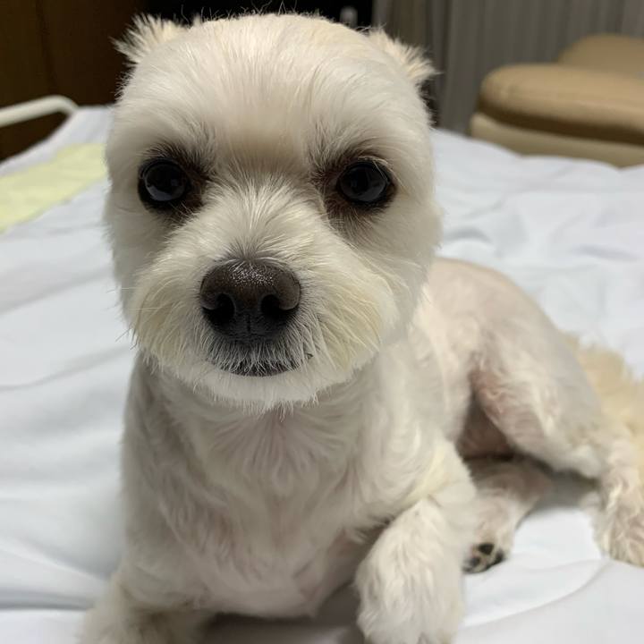 C957dbe8 9110 41bd 8836 ce45090a30d5 1570882167540