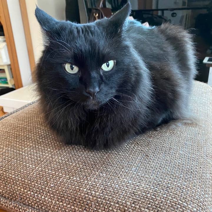 C9583193 c75f 4aa5 925b 3853ba6a1419 1648876469524