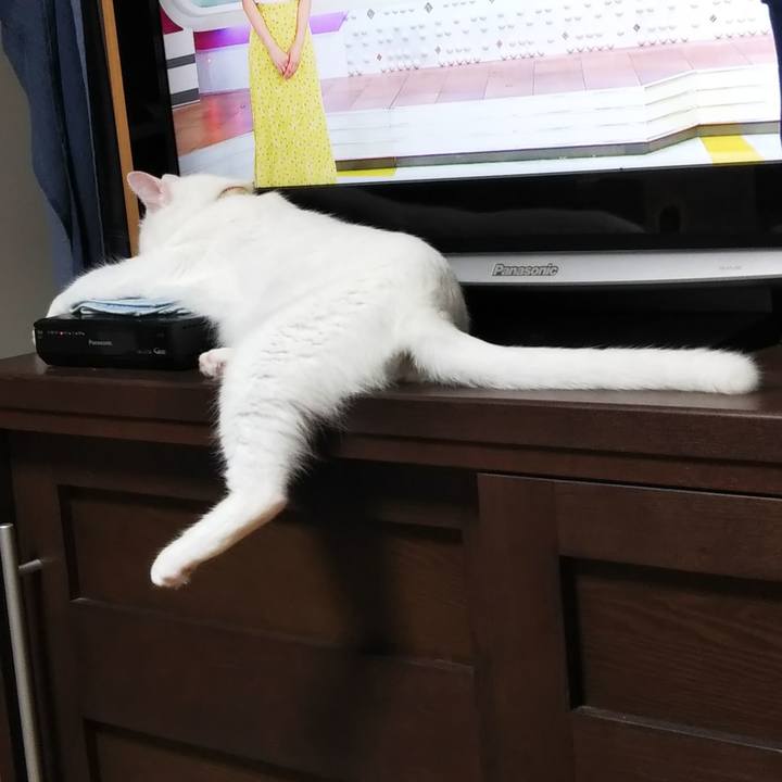 C95846f3 5ec1 4fd9 b9b8 d59a11f0dc82 1628671832793