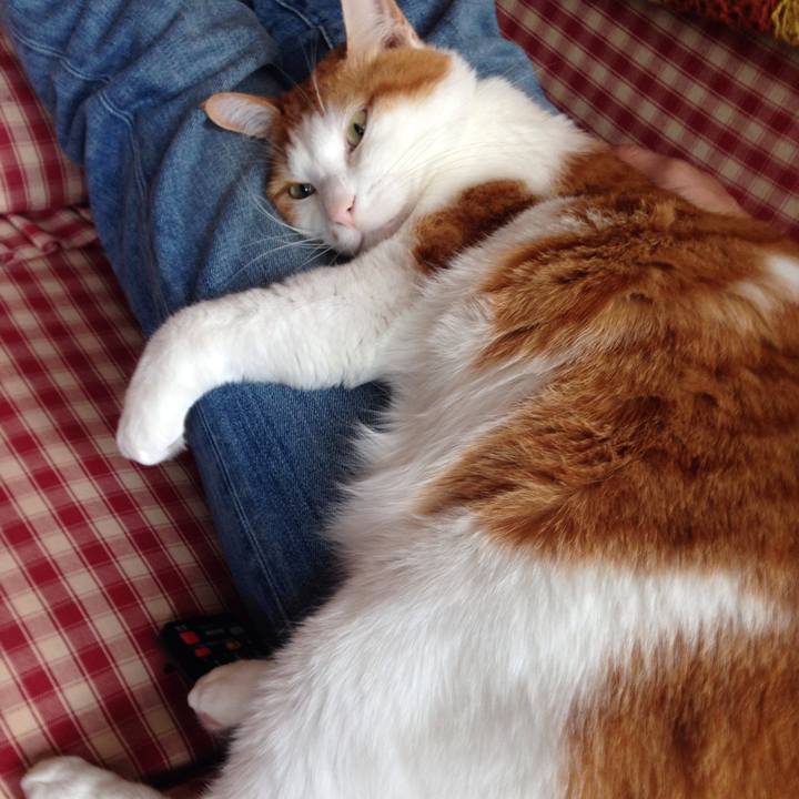 C9584b58 2571 442a bc44 65e8031878db 1513984735450