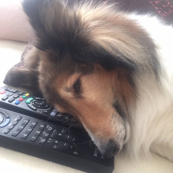 C9584bcb 8ab7 475f bd44 65938711d327 1538933832088