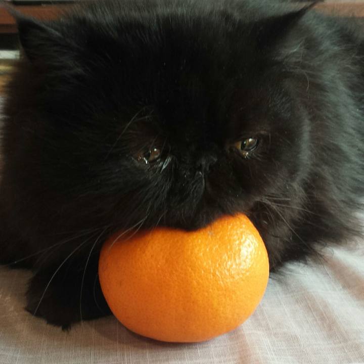 C9587153 fde0 4a30 bbc0 15aeb2e384f0 1526268947136