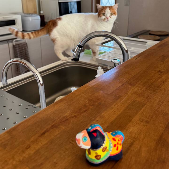 C95886b5 4a0d 47f0 8674 1e35603b8cab 1764814773645