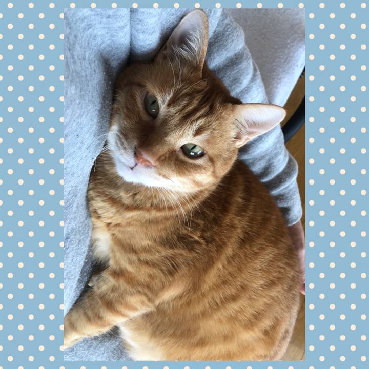 C958d7ef 978e 4218 8669 664bb072f9be 1619840714491