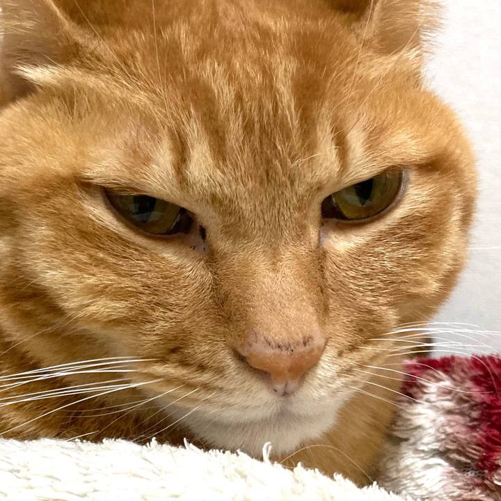 C958db38 3edb 4daf a885 c0bfedb6d29d 1772229118206