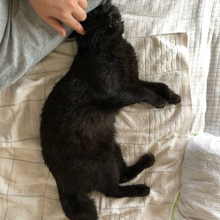 C958e71a a0e8 43eb ade4 341b7dca7643 1596753496674