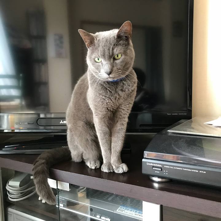 C9593303 bbc3 4461 9646 1676b60da56e 1517885416746