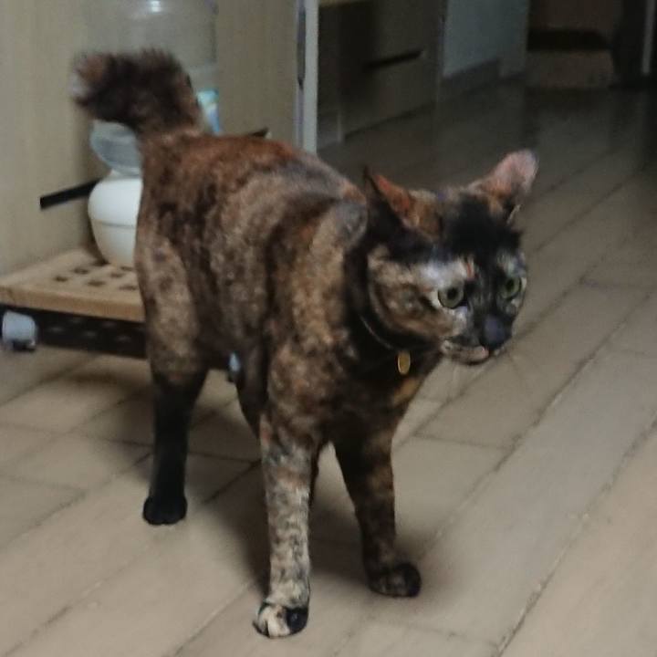 C9594063 8b4e 488a 9396 4198bff736ec 1518184742576