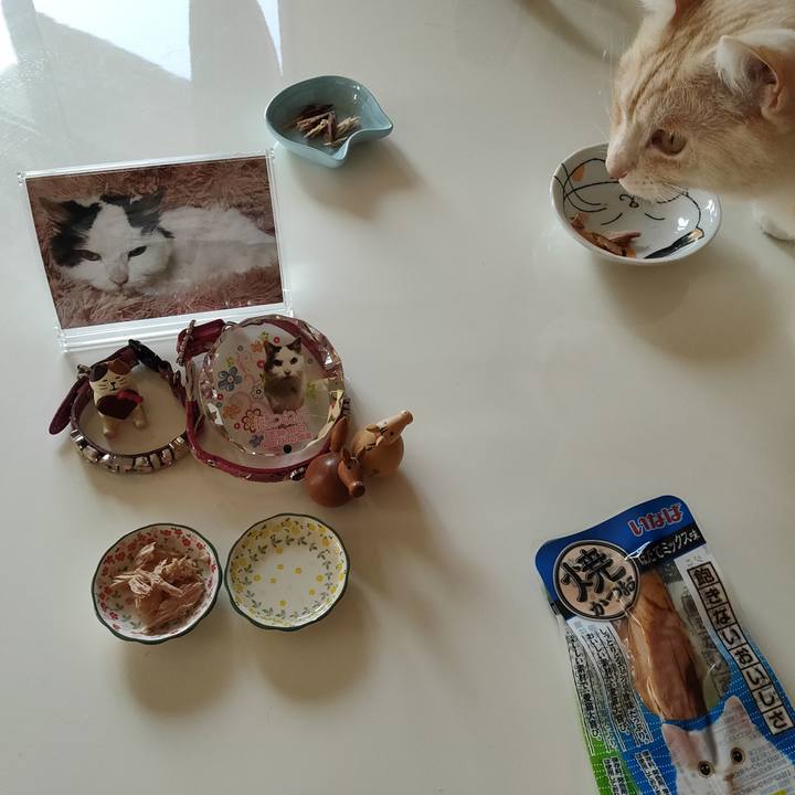 C959598a ca6f 4ab1 a697 9b8de5806454 1683673051718