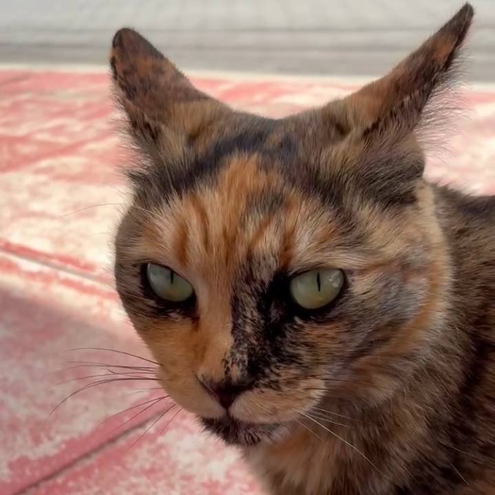 C959752f 5aae 4024 9e7c d74dba456b9a 1746668681712